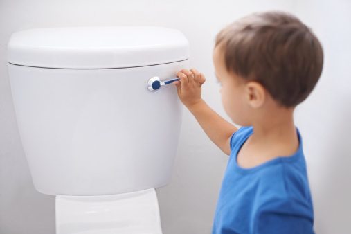 Swiss Ban on Toilet Flushing at Night