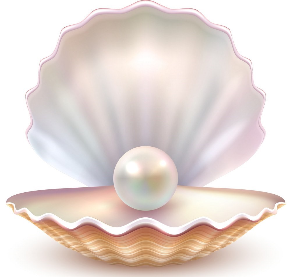 Is pearl a kind of kidney stone of shell