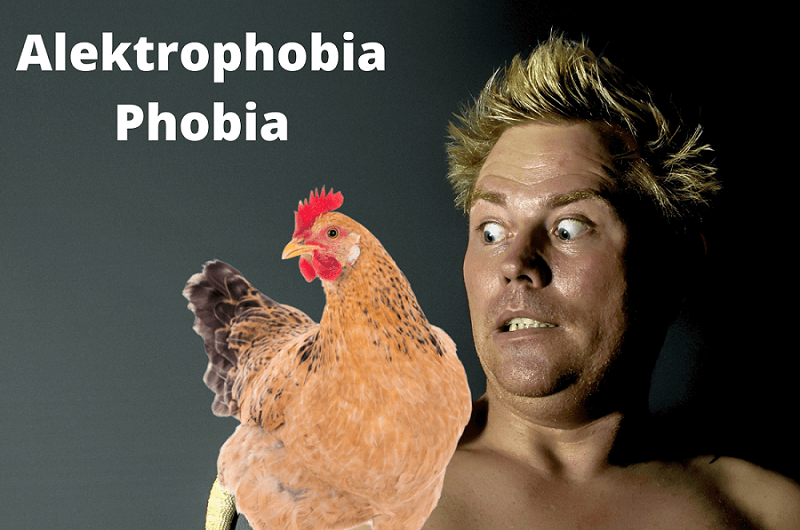 Alektrophobia Phobia