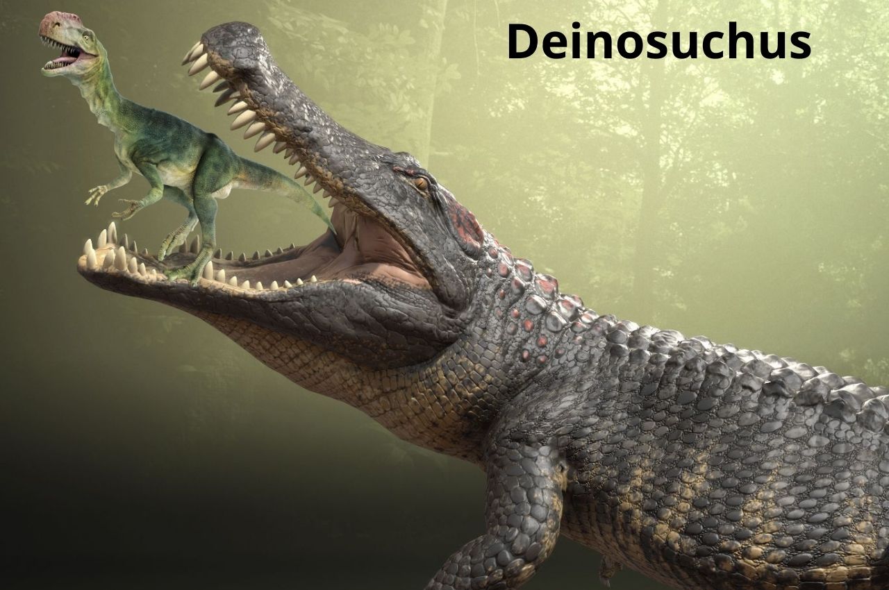 Deinosuchus Crocodiles Killing Dinosaurs