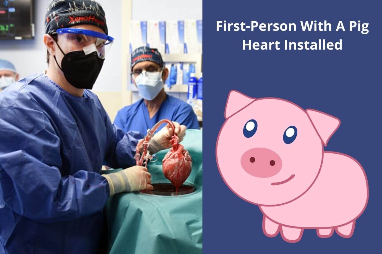 First-Person With A Pig Heart Installed