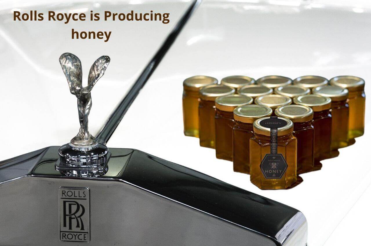 Rolls Royce is making honey