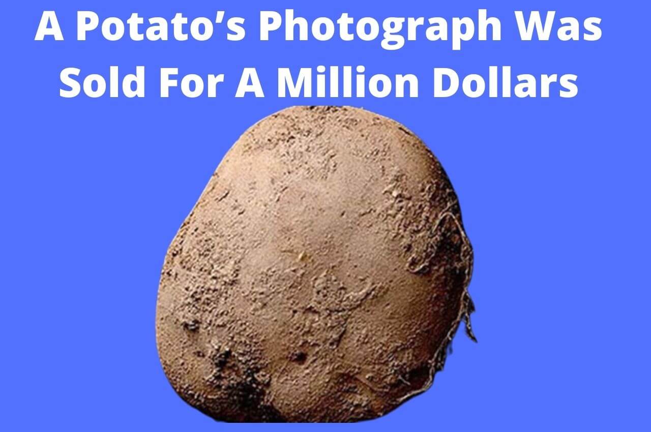 A Potato’s Photograph Was Sold For A Million Dollars